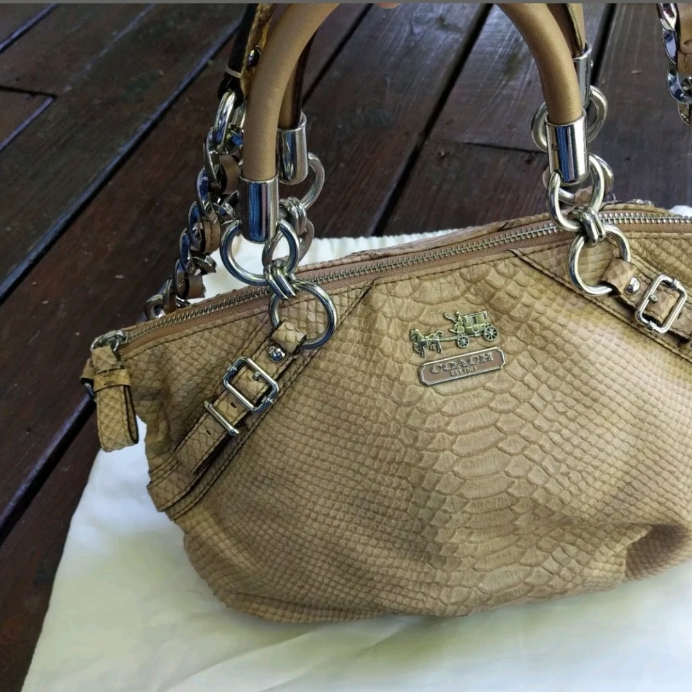 Coach Python Skin Purse - image 2